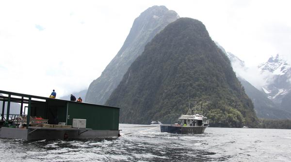 The new kayaking pontoon is towed to the Southern Discoveries' Discovery Centre in Milford Sound 